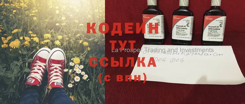 МЕГА сайт  продажа наркотиков  Верхняя Пышма  Кодеиновый сироп Lean напиток Lean (лин) 